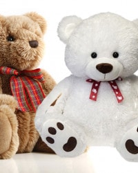 Teddy Bear